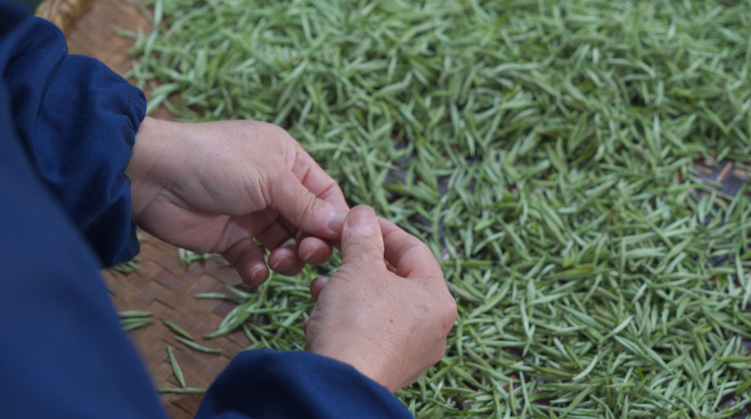 微信圖片_20250319102710.png 微信圖片_20250319102710.png